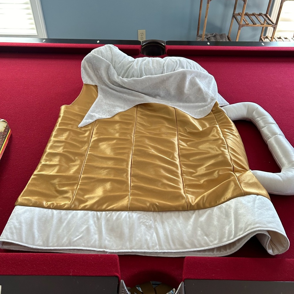 Adult Halloween costume